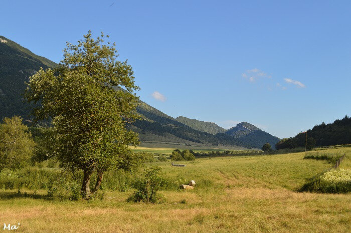 Plateau Léoncel